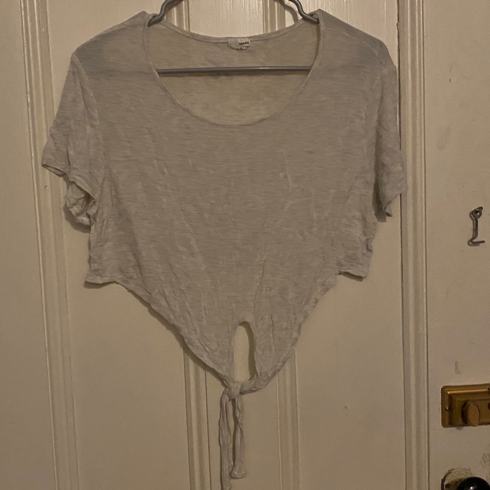Sheer Crop Top
